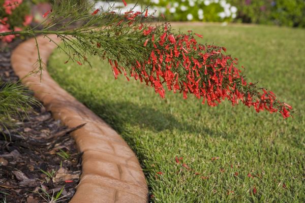 Brick Edging in Granger