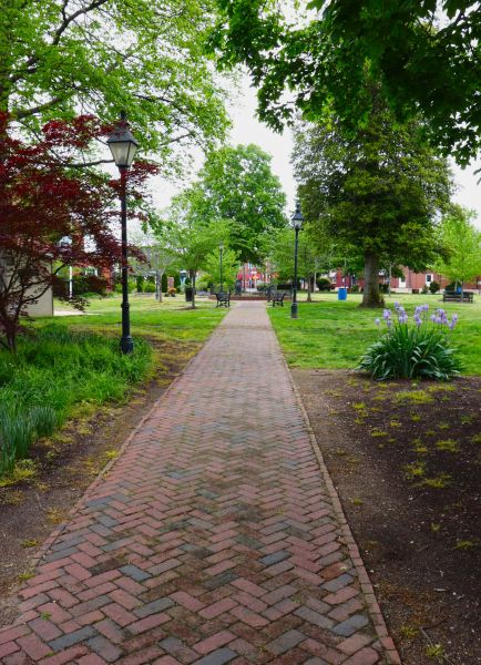 Brick Pathway Repair in Granger